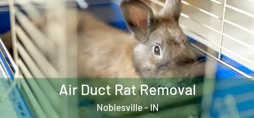  Air Duct Rat Removal Noblesville - IN