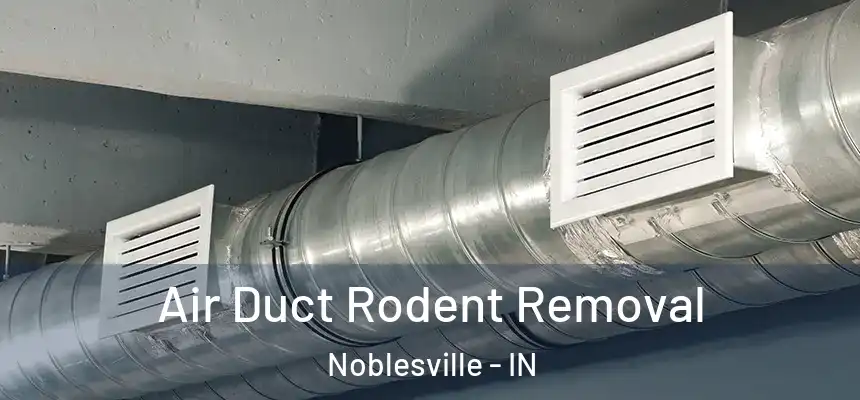  Air Duct Rodent Removal Noblesville - IN