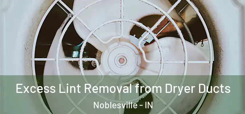  Excess Lint Removal from Dryer Ducts Noblesville - IN