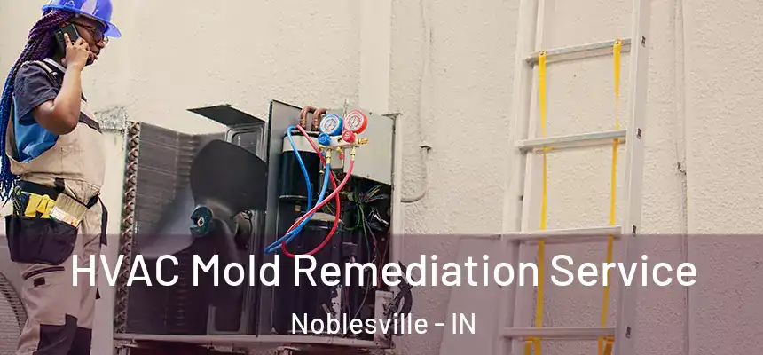 HVAC Mold Remediation Service Noblesville - IN