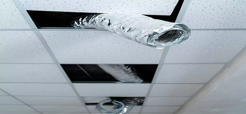 Affordable HVAC Sanitizing After Pest Removal in Noblesville