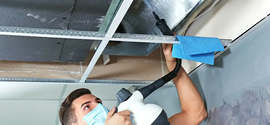 Our Air Duct Rodent Removal Services in Noblesville, IN