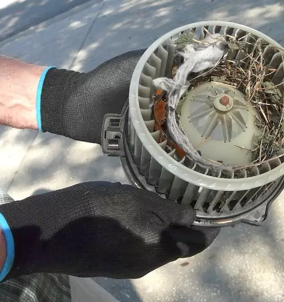 About Air Duct Mice Removal in Noblesville, IN