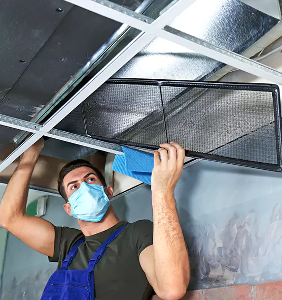 Professional Air Duct Pollen Cleaning in Noblesville, IN