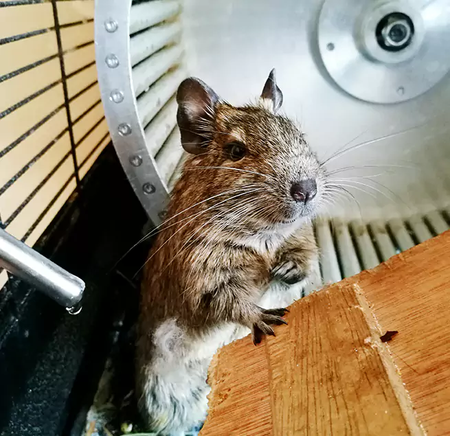 Why Homeowners & Businesses Trust Us Noblesville, IN?