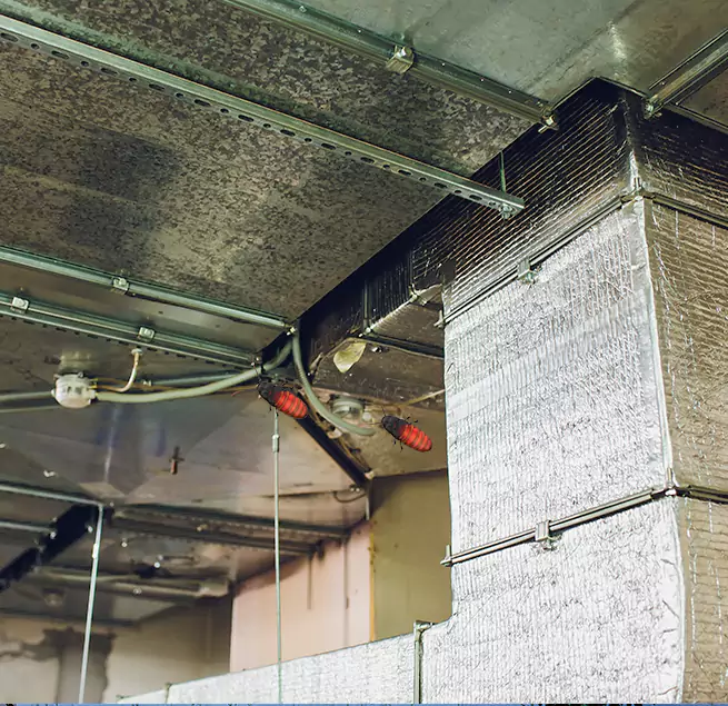 Why Homeowners & Businesses Trust Us Noblesville, IN?