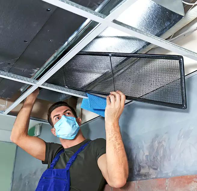 Why Homeowners Businesses Trust Us in Noblesville, IN